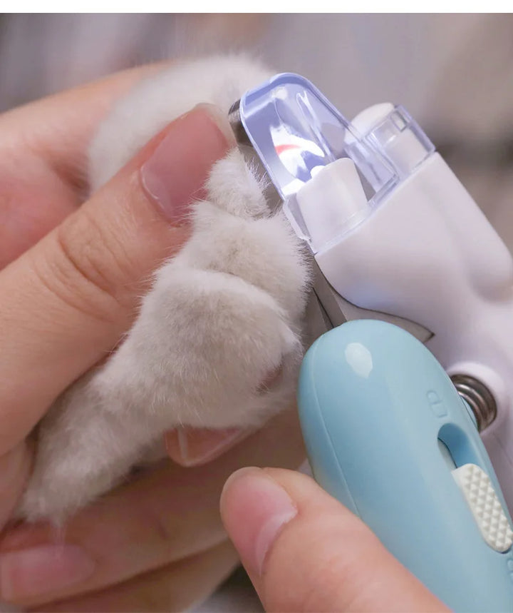 Illuminate Your Pet&