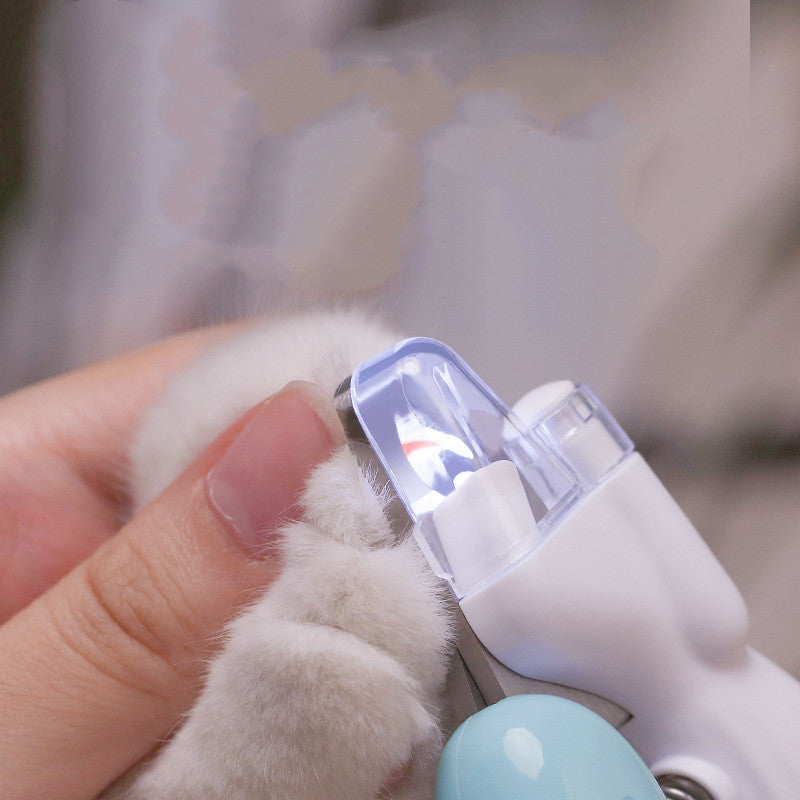 Illuminate Your Pet&